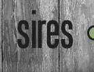 Sires