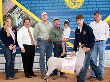 Haws Club Lambs Winner