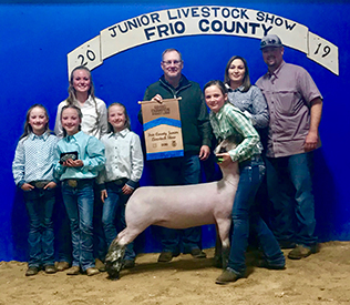 Haws Club Lambs Winners